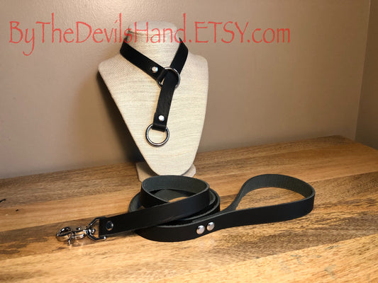 Leather Choke Collar With Matching Leash In Black Essex Super Soft Horween Leather -Pretty, Functional, Durable (BKE-BE)