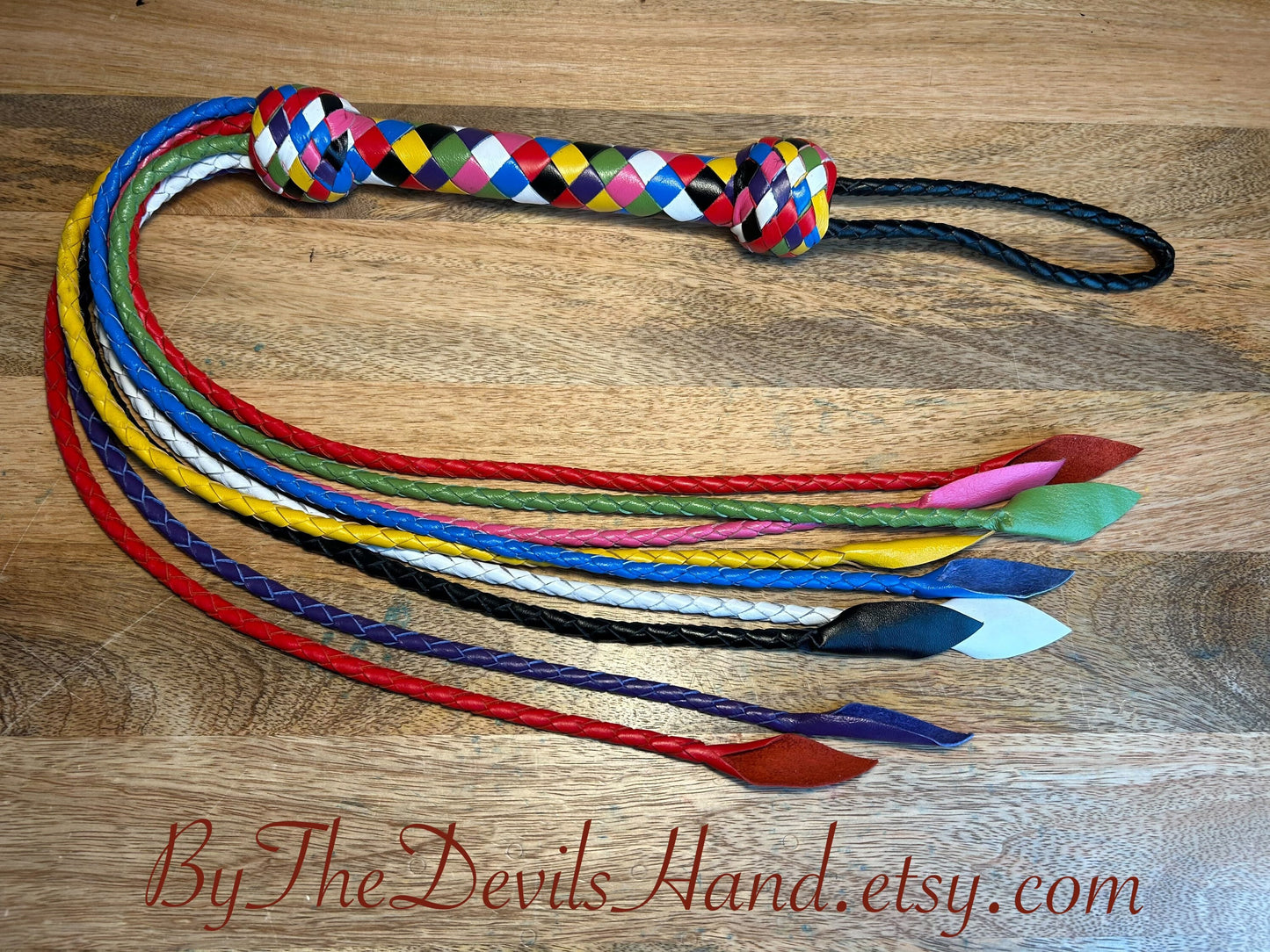 Cat O Nine Tails - Cat Of Nine Tails - Rainbow Smooth Braided Leather