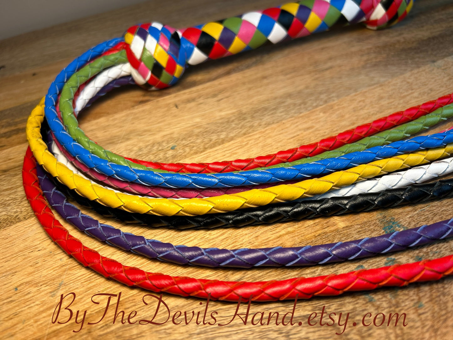 Cat O Nine Tails - Cat Of Nine Tails - Rainbow Smooth Braided Leather