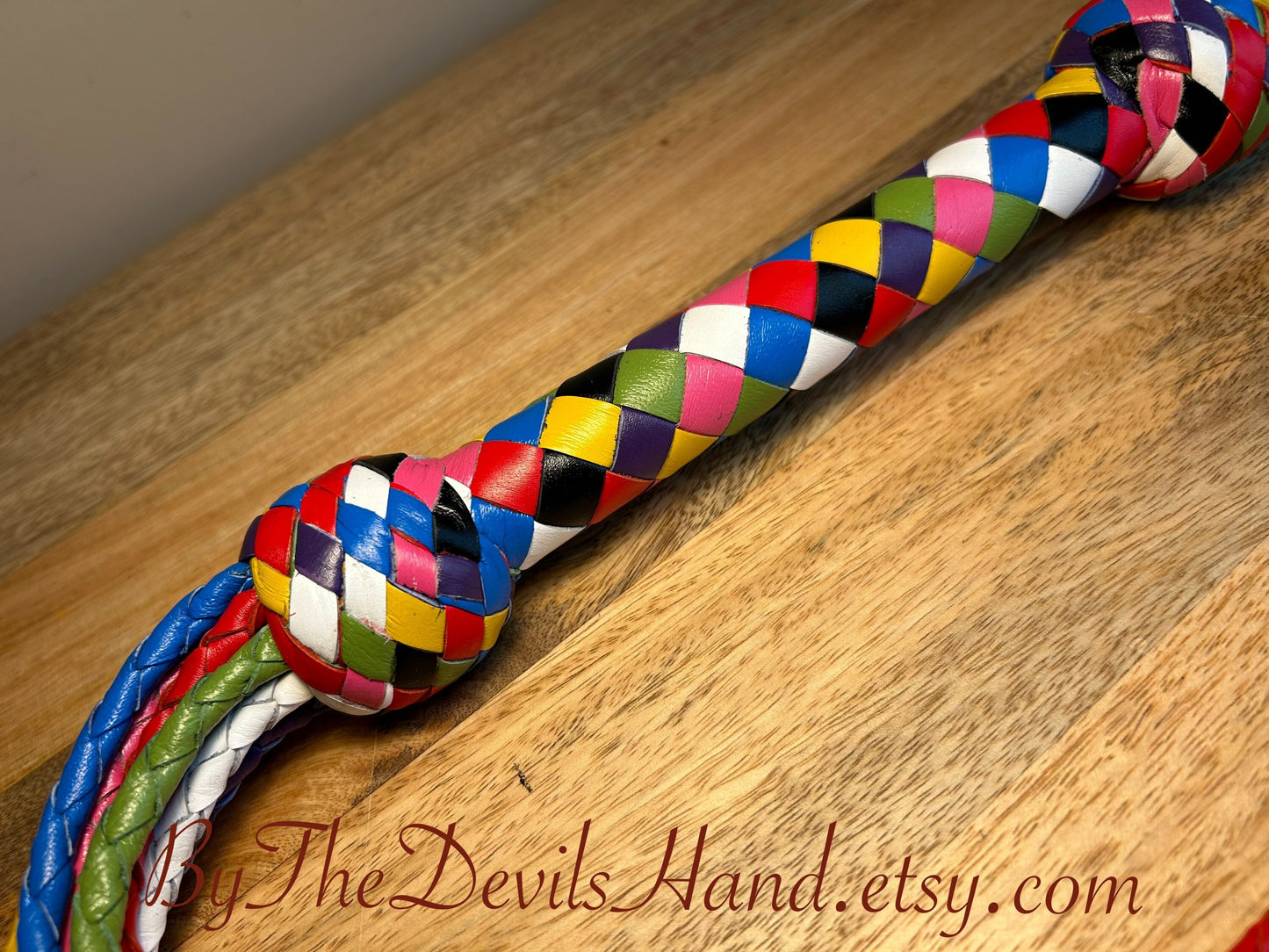 Cat O Nine Tails - Cat Of Nine Tails - Rainbow Smooth Braided Leather