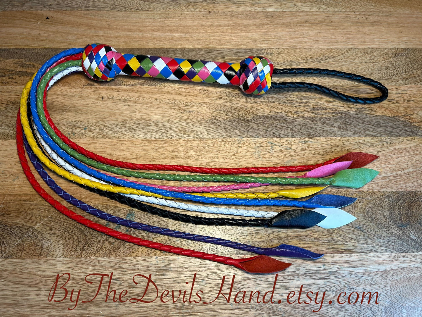 Cat O Nine Tails - Cat Of Nine Tails - Rainbow Smooth Braided Leather