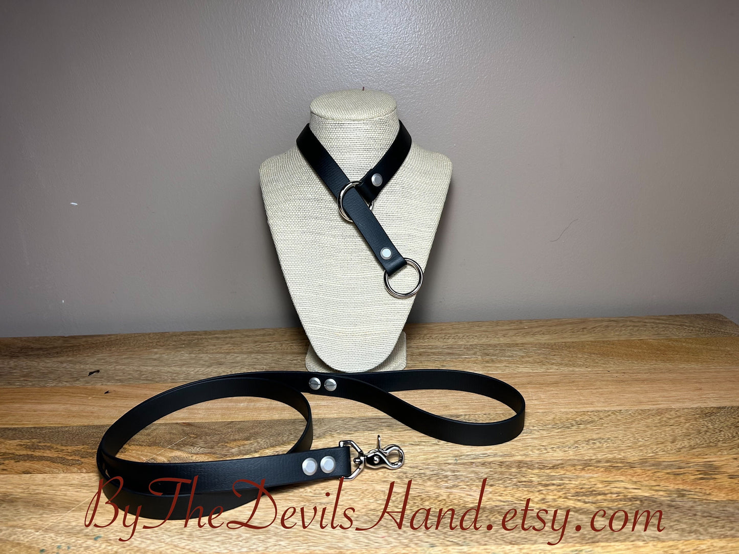 Choke Collar With Matching Leash Made Of Waterproof Vegan Equestrian Strap - Black - Pretty, Functional, Durable (ESB-BE)