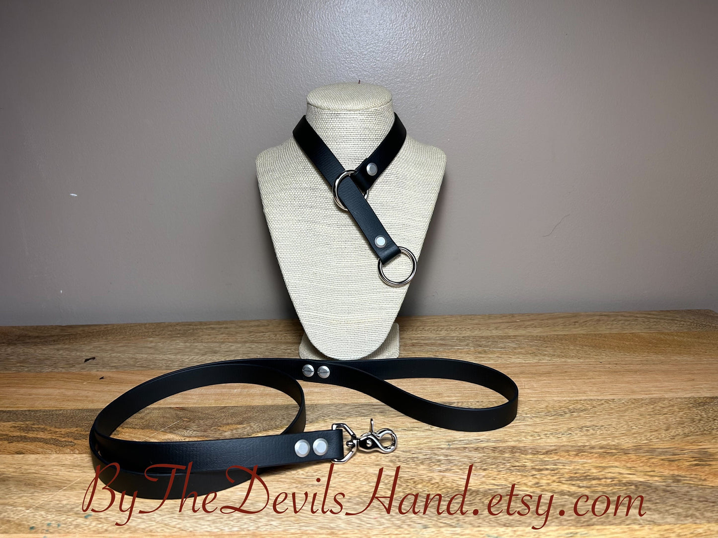 Choke Collar With Matching Leash Made Of Waterproof Vegan Equestrian Strap - Black - Pretty, Functional, Durable (ESB-BE)