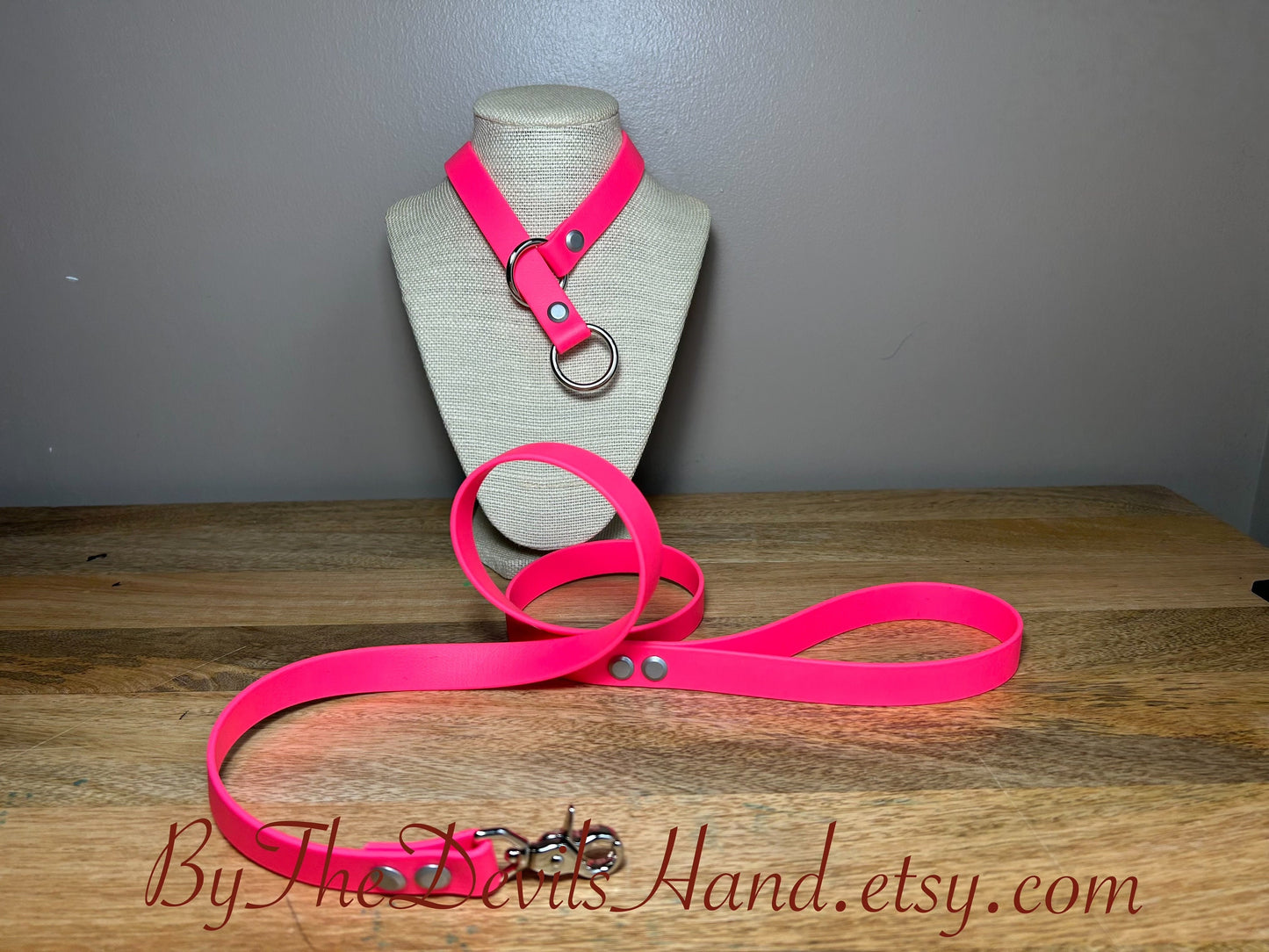 Choke Collar With Matching Leash Made Of Waterproof Vegan Equestrian Strap - Bright Pink - Pretty, Functional, Durable (ESP-BE)