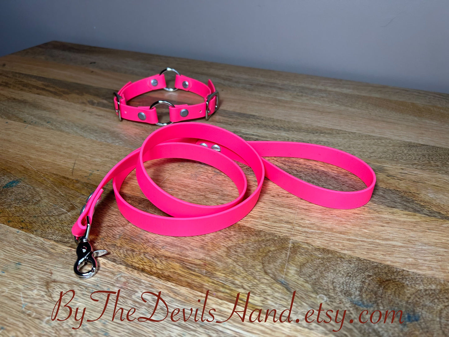 Primary Dual O Ring Collar With Matching Leash Made Of Waterproof Vegan Equestrian Strap Bright Pink - Pretty, Functional, Durable (ESP-BE)