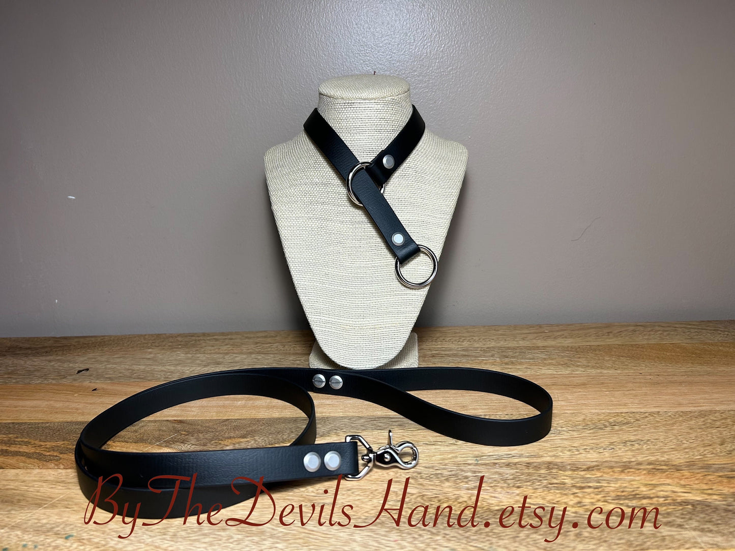 Choke Collar With Matching Leash Made Of Waterproof Vegan Equestrian Strap - Black - Pretty, Functional, Durable (ESB-BE)