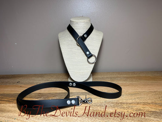 Choke Collar With Matching Leash Made Of Waterproof Vegan Equestrian Strap - Black - Pretty, Functional, Durable (ESB-BE)